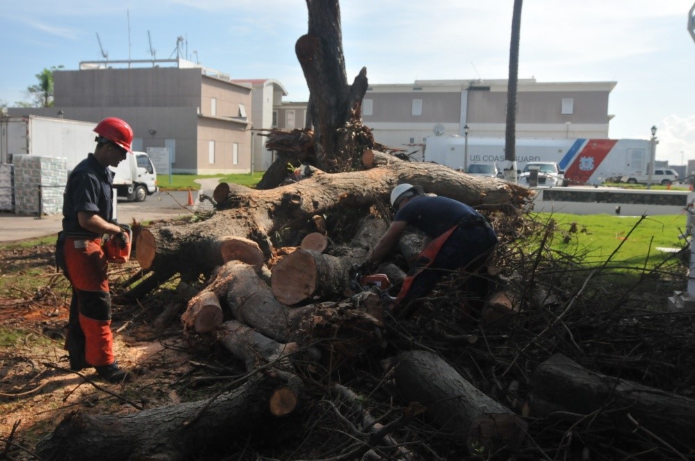 Clearing a tree felled by Hurricane Maria in front of Coast Guard Quarters #1 behind the massive “portable” communications command center. (U.S. Coast Guard) Clearing a tree felled by Hurricane Maria in front of Coast Guard Quarters #1 behind the massive “portable” communications command center. (U.S. Coast Guard)